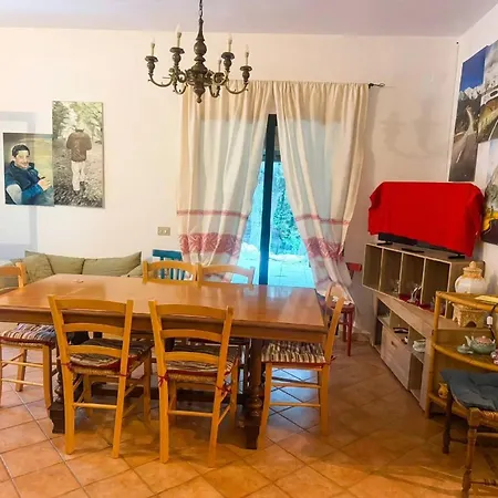 Sofia Villa *