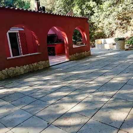 Sofia *